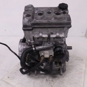 Polaris Ranger 900 13-19 RZR 15-20 Engine