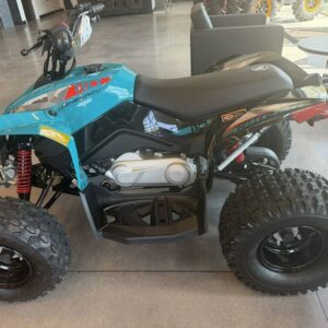 2026 Can-Am Renegade 110 EFI